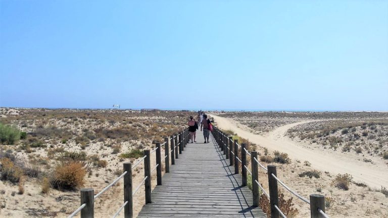 From-Faro-to-Armona-Walking-to-the-beach-768x432