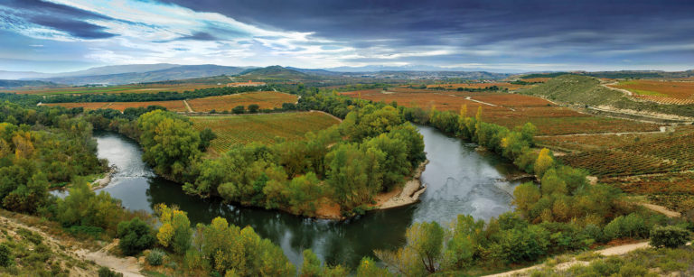 Panoramica-Viña-l-768x307