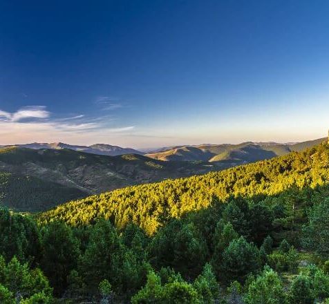 Sierra-de-Cebollera-Nature-Reserve-476x440