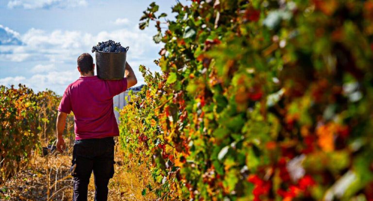 rioja-bodegas-franco-españolas-001-768x415