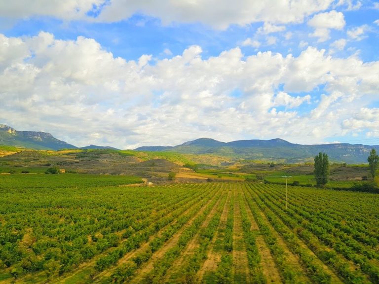 rioja-view-768x576